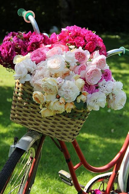 BICICLETAS, FLORES Y VERANO