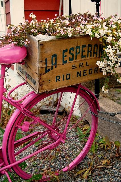 BICICLETAS, FLORES Y VERANO