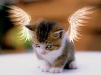 Angeles cantando como gatos, gatos cantando como ángeles. Duetto para dos gatos (Rossini) Angeles cantando como gatos, gatos cantando como ángeles. Duetto para dos gatos (Rossini)