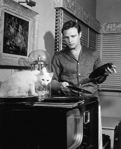 Marlon Brando y su gato