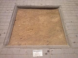 ESPIRITU DE SUPERVIVENCIA (PARTE 2) ESPIRITU DE SUPERVIVENCIA (PARTE 2)