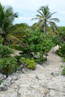Día 12:  La belleza de Tulum y Playa Paraíso. Coco Bongo Playa del Carmen