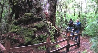 Chile tiene más de 300 de Areas Protegidas Privadas Chile tiene más de 300 de Areas Protegidas Privadas