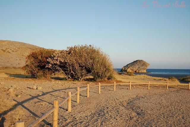 Playa de Mónsul- Cabo de Gata Playa de Mónsul- Cabo de Gata