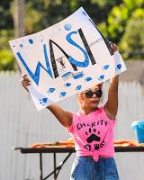 Snooki y Jwoww participaron en un Dog Wash solidario. Snooki y Jwoww participaron en un Dog Wash solidario.