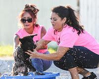 Snooki y Jwoww participaron en un Dog Wash solidario. Snooki y Jwoww participaron en un Dog Wash solidario.