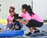 Snooki y Jwoww participaron en un Dog Wash solidario. Snooki y Jwoww participaron en un Dog Wash solidario.