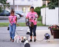 Snooki y Jwoww participaron en un Dog Wash solidario. Snooki y Jwoww participaron en un Dog Wash solidario.