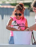 Snooki y Jwoww participaron en un Dog Wash solidario. Snooki y Jwoww participaron en un Dog Wash solidario.
