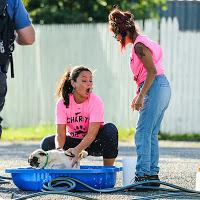 Snooki y Jwoww participaron en un Dog Wash solidario. Snooki y Jwoww participaron en un Dog Wash solidario.