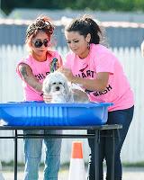 Snooki y Jwoww participaron en un Dog Wash solidario. Snooki y Jwoww participaron en un Dog Wash solidario.
