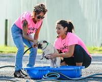 Snooki y Jwoww participaron en un Dog Wash solidario. Snooki y Jwoww participaron en un Dog Wash solidario.