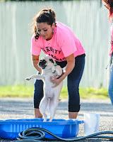 Snooki y Jwoww participaron en un Dog Wash solidario. Snooki y Jwoww participaron en un Dog Wash solidario.
