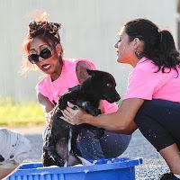 Snooki y Jwoww participaron en un Dog Wash solidario. Snooki y Jwoww participaron en un Dog Wash solidario.