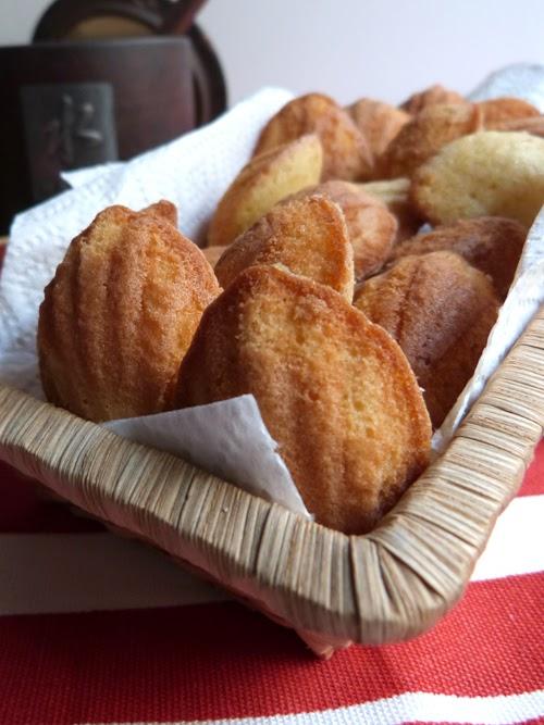 madeleines clásicas | múltiples opciones madeleines clásicas | múltiples opciones