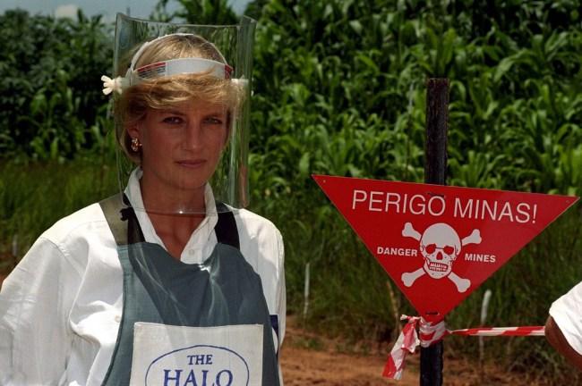 M16 asesinó a la Princesa Diana,NUEVA INFORMACIÓN Investigación policial