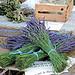 bunches http://farm6.staticflickr.com/5330/9512823642_25d1330ee5.jpg