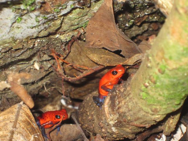 LOOK231-15.8.20137:30DESTINO PARA SER MÁS FELIZ.Las dos ú... LOOK231-15.8.20137:30DESTINO PARA SER MÁS FELIZ.Las dos ú...