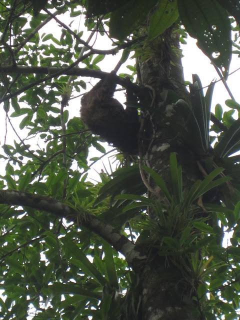 LOOK231-15.8.20137:30DESTINO PARA SER MÁS FELIZ.Las dos ú... LOOK231-15.8.20137:30DESTINO PARA SER MÁS FELIZ.Las dos ú...