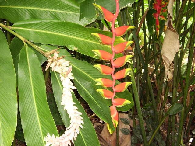 LOOK228-12.8.20138:15¡¡Qué hay de nuevo amiga!!Ya estoy d... LOOK228-12.8.20138:15¡¡Qué hay de nuevo amiga!!Ya estoy d...