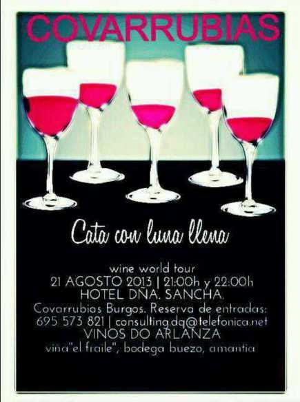 Cata de Vinos DO Arlanza en Covarrubias 21/08/2013 Cartel de la Cata a la luz de la luna