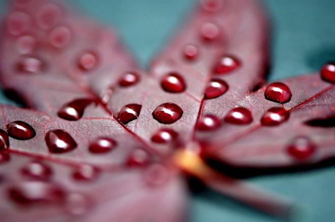 29 impresionantes ejemplos de fotografía bajo lluvia para su inspiración