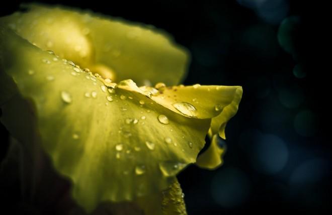 29 impresionantes ejemplos de fotografía bajo lluvia para su inspiración