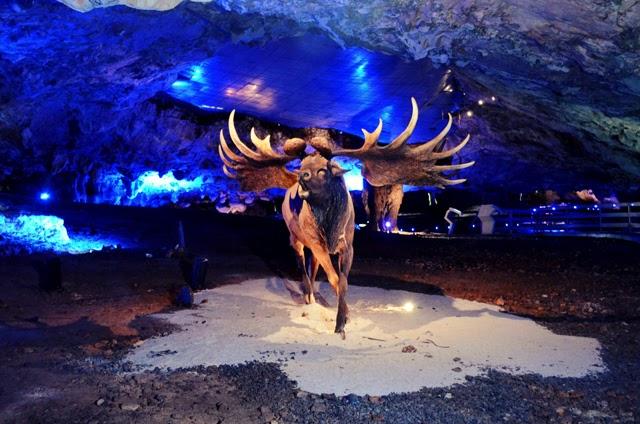 Asturias Day 1: Cuevona de Avín Asturias Day 1: Cuevona de Avín