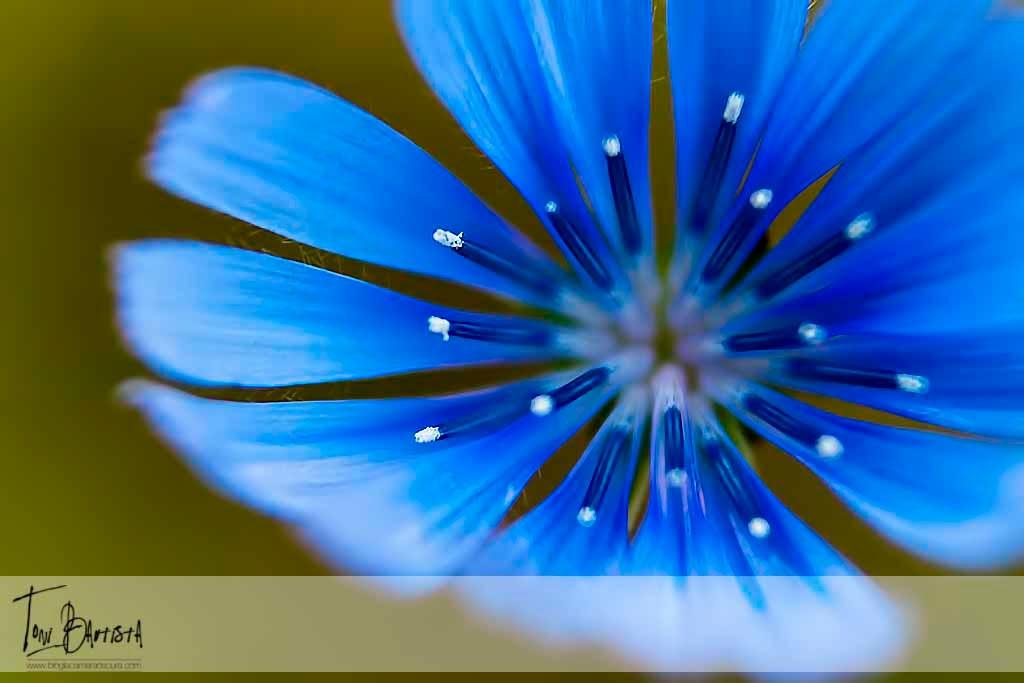 Capítulo 4: Haciendo fotos - Parte 4 Capítulo 4: Haciendo fotos - Parte 4