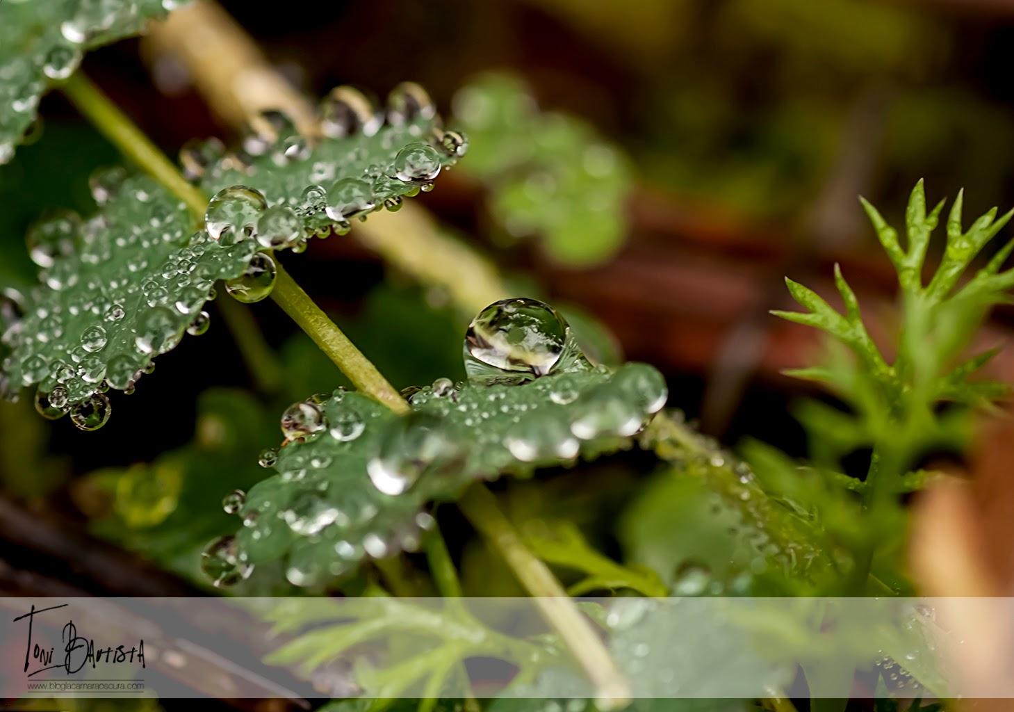 Capítulo 4: Haciendo fotos - Parte 4 Capítulo 4: Haciendo fotos - Parte 4