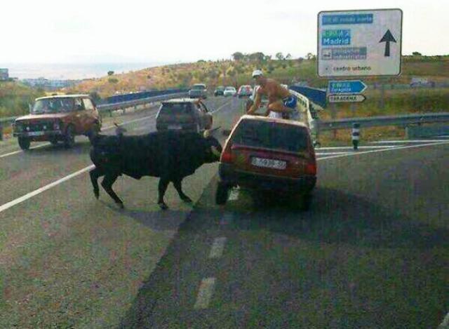 A vueltas con los toros... A vueltas con los toros...