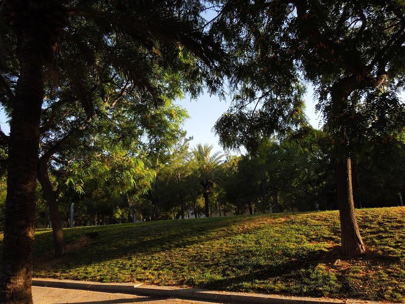 BARCELONA : PARQUE DE LA BARCELONETA BARCELONA : PARQUE DE LA BARCELONETA