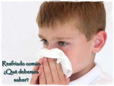 Catarro en los niños, ¿Qué debemos saber? Catarro en los niños, ¿Qué debemos saber?