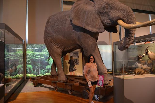 Museo de Ciencias Naturales. Museo de Ciencias Naturales.