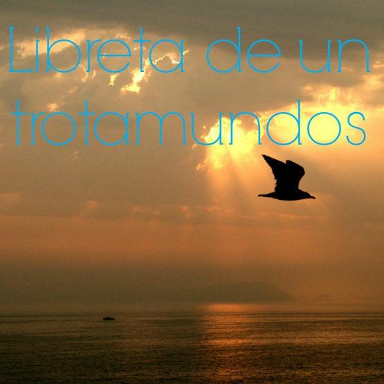 Libreta de un trotamundos gaviota_a_contraluz_2-2