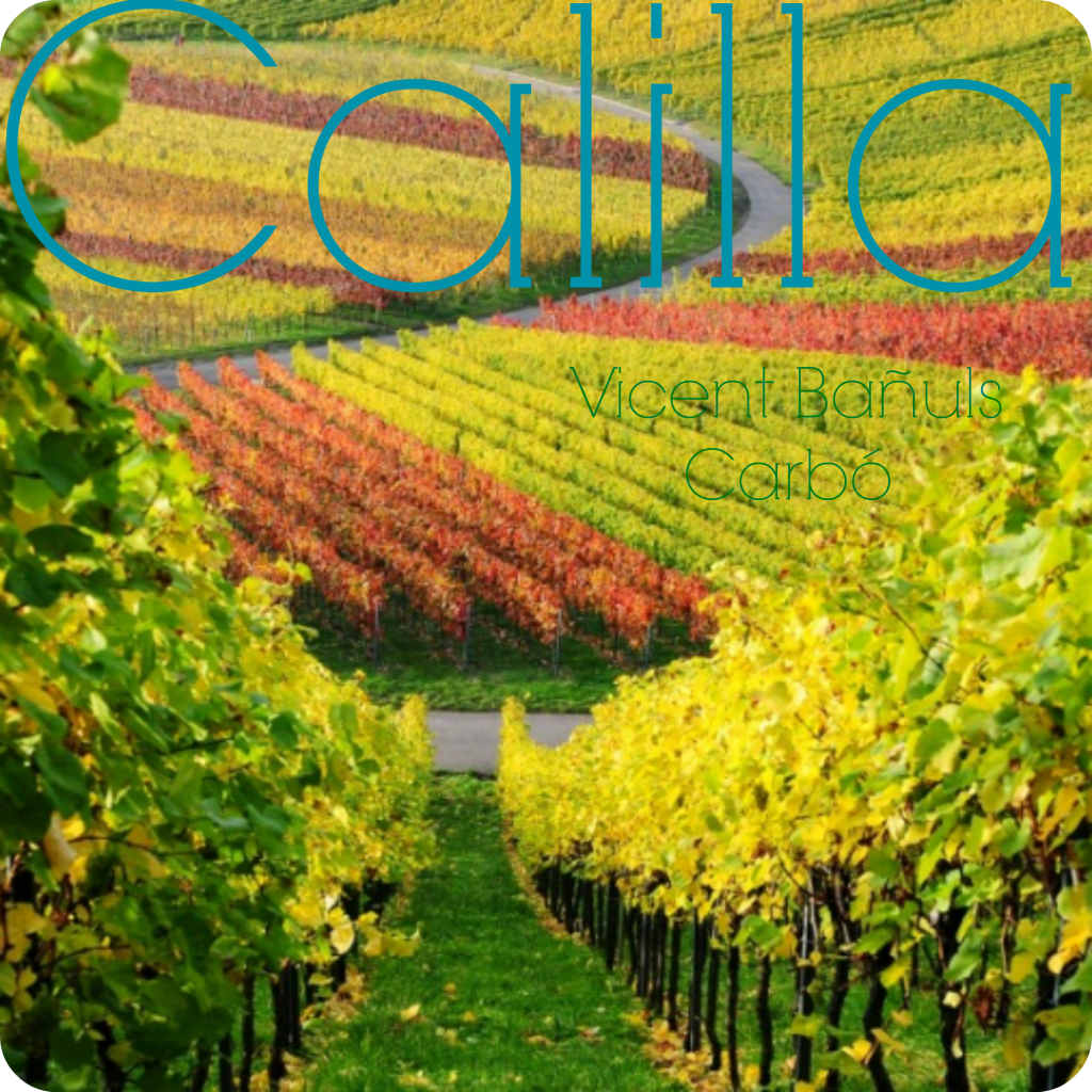 Calilla. Capítulo 7: Aire tierra-de-vinos1