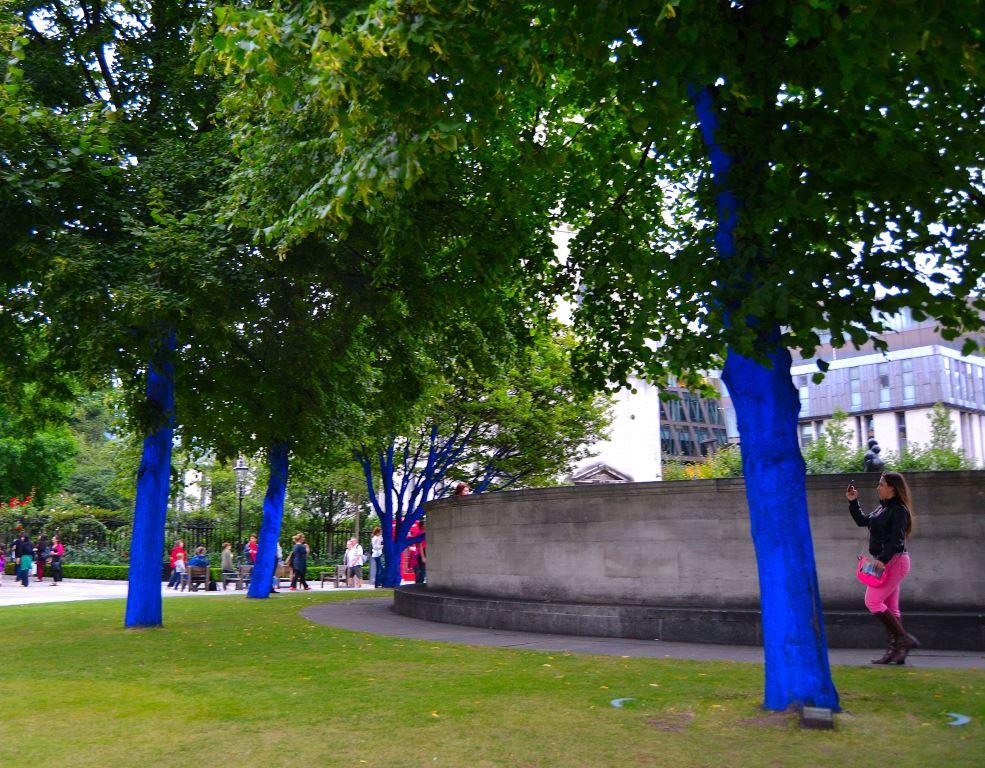 blue trees 1e