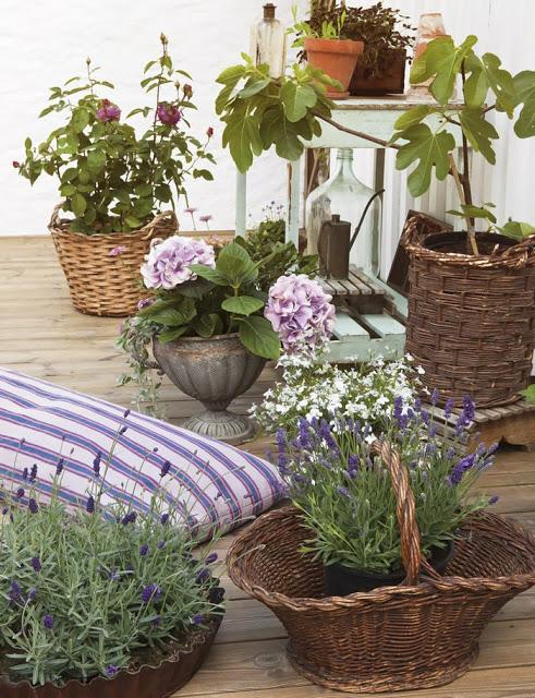 INSPIRACION PARA DECORAR UN PATIO INSPIRACION PARA DECORAR UN PATIO