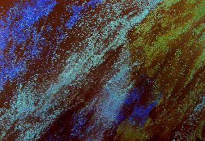 PINTURA PERFUMADA CON SHAMPOO PINTURA PERFUMADA CON SHAMPOO