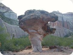 el chiflon el chiflon