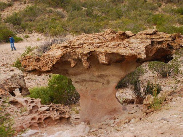 El Chiflón, el paso del tiempo no hizo más que acentuar la belleza de la región y construir una historia mágica y misteriosa. El Chiflón, el paso del tiempo no hizo más que acentuar la belleza de la región y construir una historia mágica y misteriosa.
