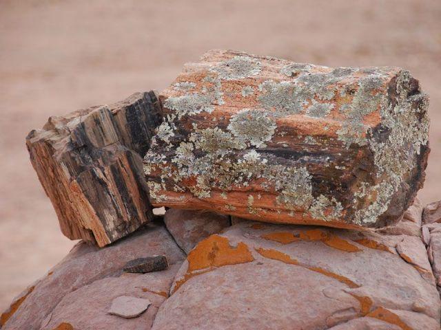 El Chiflón, el paso del tiempo no hizo más que acentuar la belleza de la región y construir una historia mágica y misteriosa. El Chiflón, el paso del tiempo no hizo más que acentuar la belleza de la región y construir una historia mágica y misteriosa.