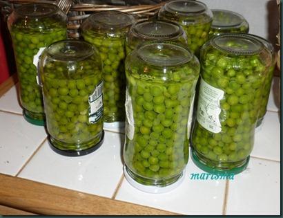 conserva de guisantes8 copia conserva de guisantes8 copia