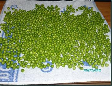 conserva de guisantes2 copia conserva de guisantes2 copia