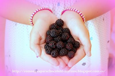 MAGDALENAS SIN HUEVO CON MORAS MAGDALENAS SIN HUEVO CON MORAS