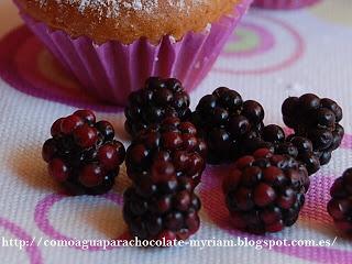 MAGDALENAS SIN HUEVO CON MORAS MAGDALENAS SIN HUEVO CON MORAS