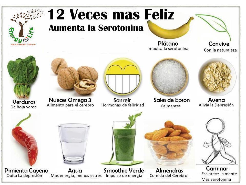 La Ciencia de la Vida: La Serotonina. Modulador de nuestro estado de ánimo La Ciencia de la Vida: La Serotonina. Modulador de nuestro estado de ánimo