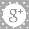 google+ ”google+”