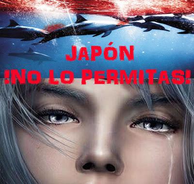 DELFINES: MATANZA EN JAPÓN DELFINES: MATANZA EN JAPÓN