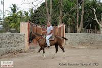 Higuerillas -Guanacaste- a Punta Morales -Puntarenas- Higuerillas -Guanacaste- a Punta Morales -Puntarenas-